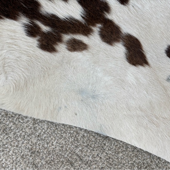 🐄 🪴 Genuine Cowhide Rug - Picture 5 of 8